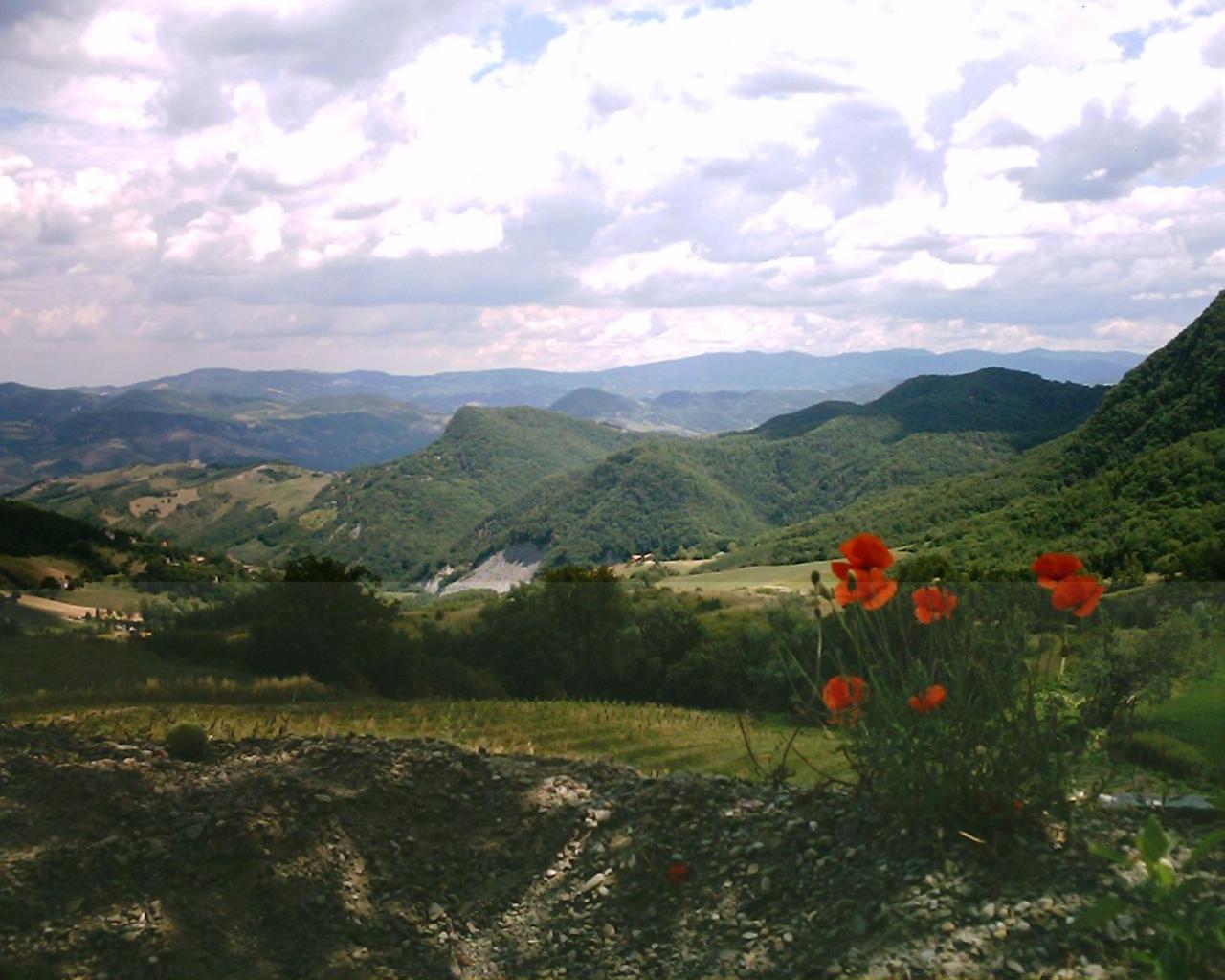 La Piana Dei Castagni Villa Castel d'Aiano Luaran gambar