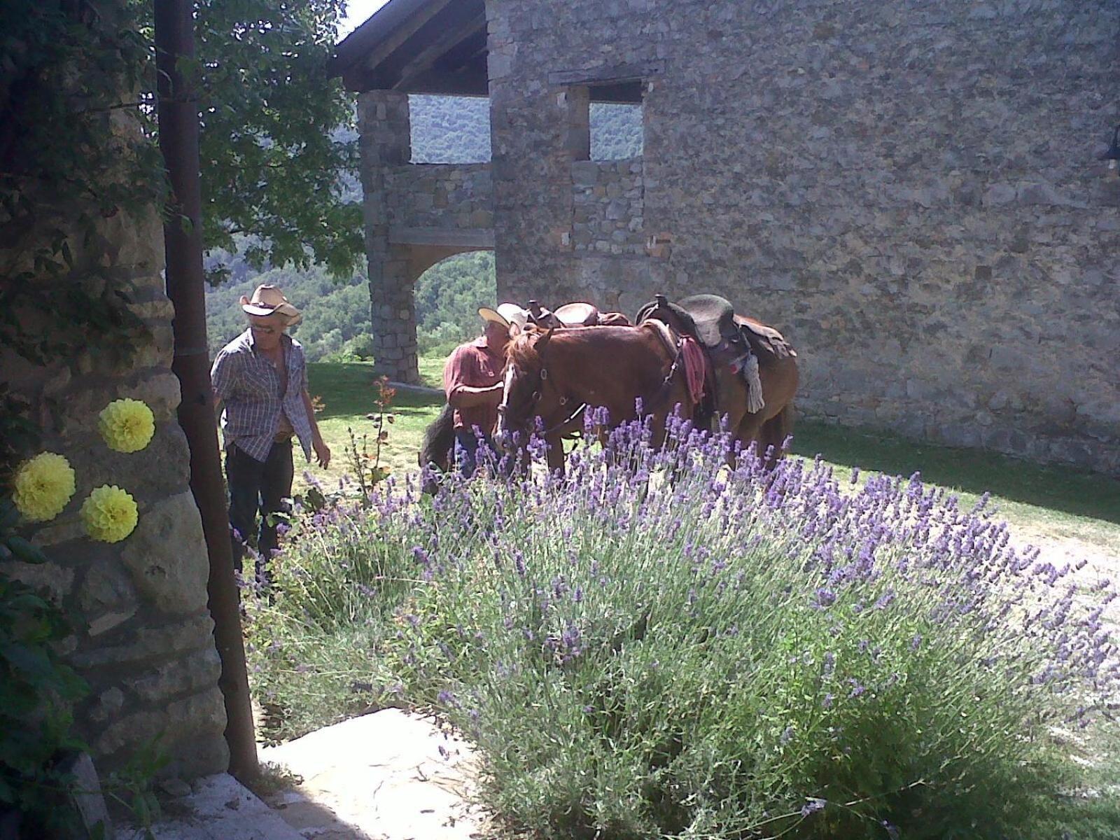 La Piana Dei Castagni Villa Castel d'Aiano Luaran gambar