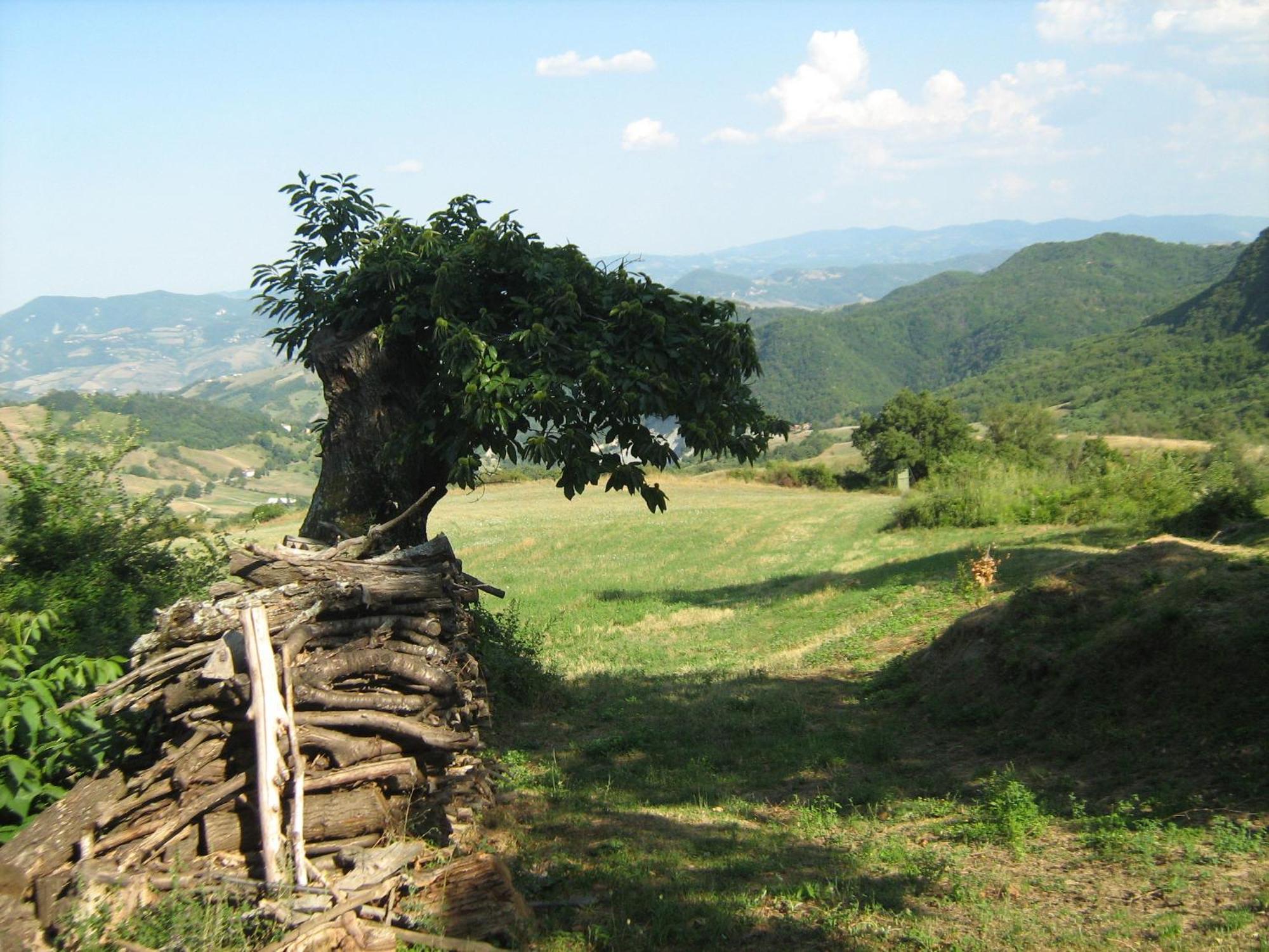 La Piana Dei Castagni Villa Castel d'Aiano Luaran gambar