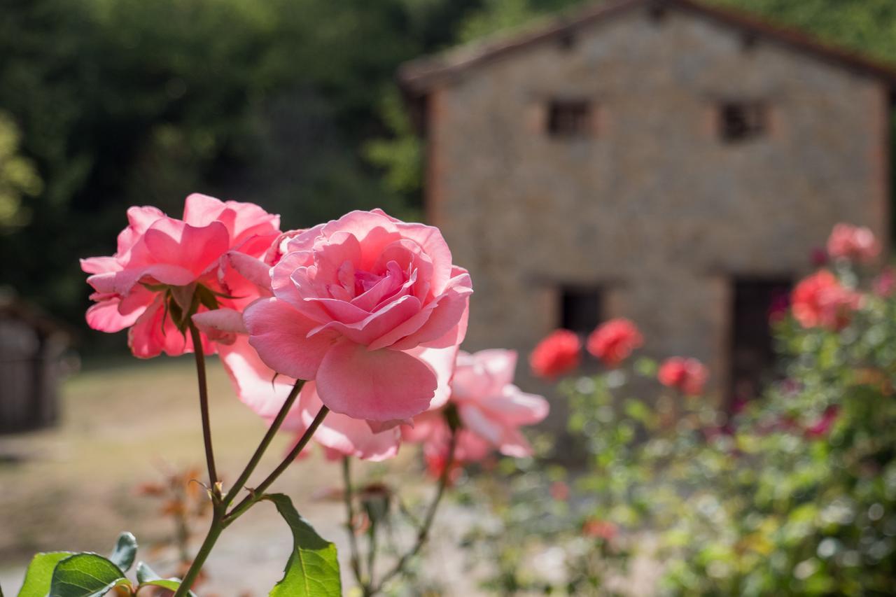 La Piana Dei Castagni Villa Castel d'Aiano Luaran gambar